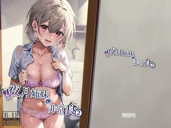 d 314315pl - 夜月姉妹の非常食2