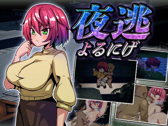 d 356196pl - 夜逃