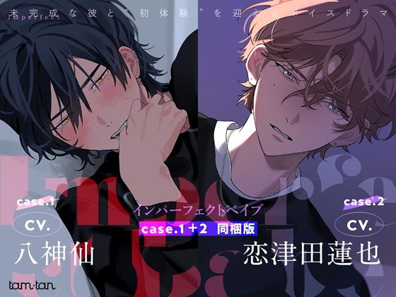 d 435134pl - Imperfect Babe case.1＋2同梱版