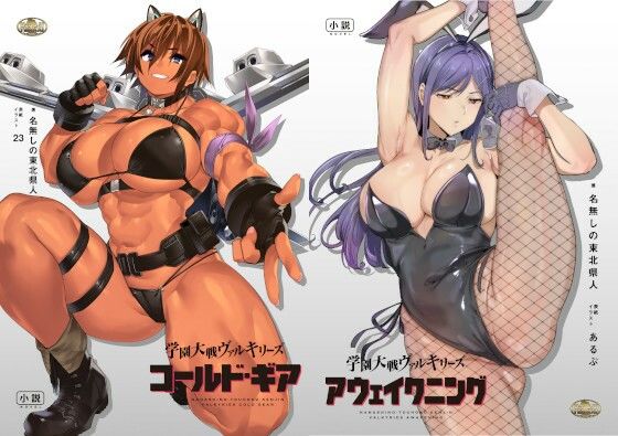 d 438625pl - 学園大戦ヴァルキリーズ コールド・ギア＆アウェイクニング リマスター版ダブルパック