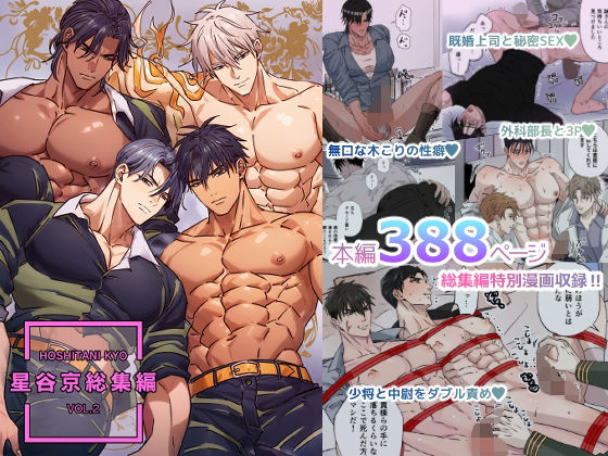 d 476408pl - 星谷京 総集編 VOL.2【FANZA限定描き下ろし漫画付き】