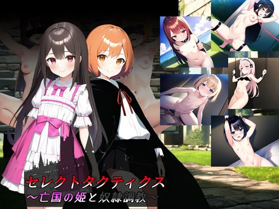 d 478774pl - セレクトタクティクス 〜亡国の姫と奴●調教〜