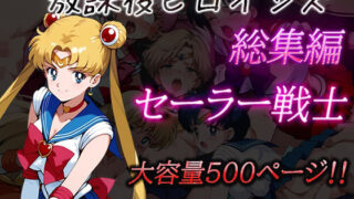 d 481171pl 320x180 - 放課後ヒロインズ総集編 セーラー戦士