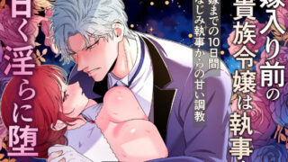 d 487467pl 320x180 - 嫁入り前の貴族令嬢は執事と甘く淫らに堕つ〜花嫁になるまでの10日間幼馴染執事からの甘い調教〜