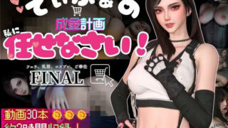 d 488188pl 320x180 - ティファの成金計画〜ジャンバリ堂シリーズ〜【脳汁シミュレーションRPG】