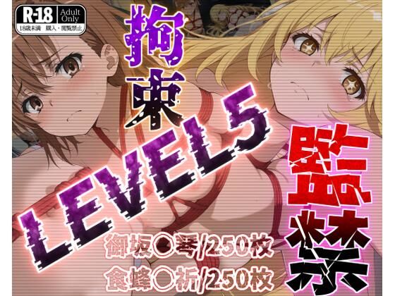d 512999pl - 監禁拘束LEVEL5【フルカラー500枚】