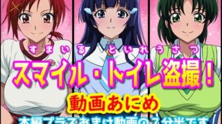 d 513745pl 320x180 - すまいるトイレ盗撮