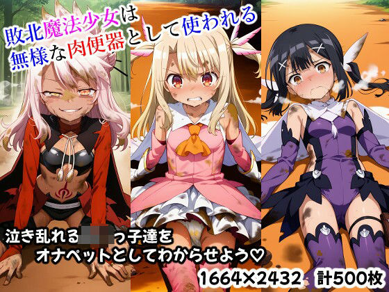 d 539210pl - 敗北魔法少女は無様な肉便器として使われる