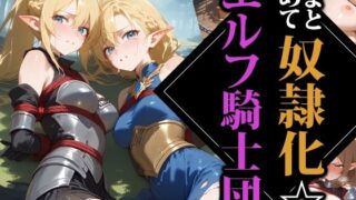 d 541191pl 320x180 - まとめて奴●化☆エルフ騎士団