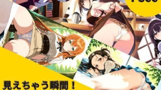 d 557596pl 320x180 - 見えちゃう瞬間！多彩パンチラ図鑑