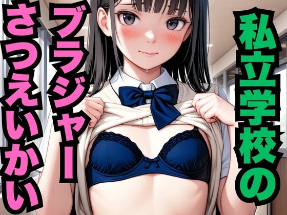 d 578848pl - 私立学校のブラジャーさつえいかい（約300枚）