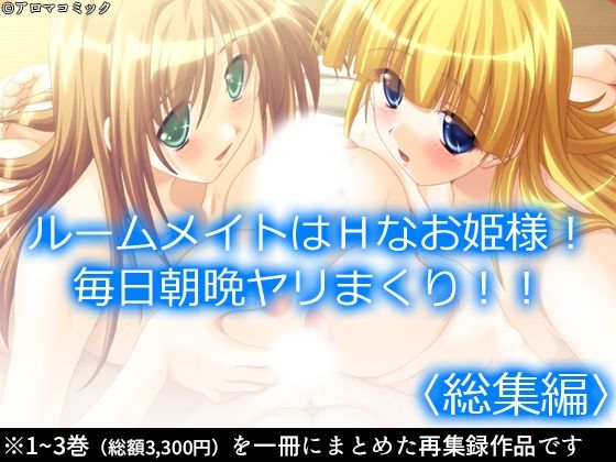 d 584899pl - ルームメイトはHなお姫様！毎日朝晩ヤリまくり！！  ＜総集編＞