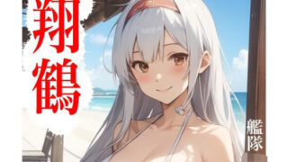 d 588286pl 320x180 - 虹かけ誌  艦隊〇れくしょん  イラスト集27 翔鶴