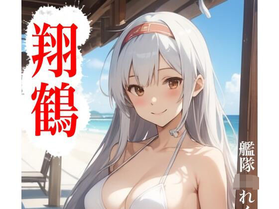 d 588286pl - 虹かけ誌  艦隊〇れくしょん  イラスト集27 翔鶴