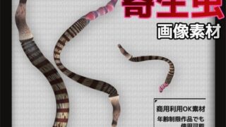 d 602956pl 320x180 - 寄生虫の画像素材〜商用OK著作権フリー〜3D画像素材シリーズ