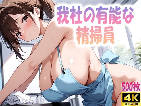 d 604205pl - 我社の有能な精掃員