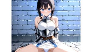 d 606045pl 320x180 - 敗戦国の末路 女騎士リン編